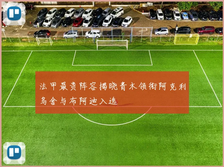 法甲最贵阵容揭晓青木领衔阿克利乌舍与布阿迪入选