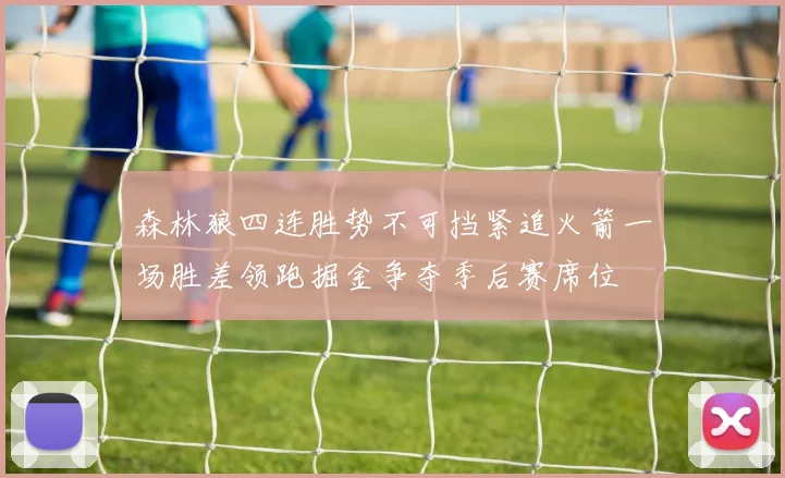森林狼四连胜势不可挡紧追火箭一场胜差领跑掘金争夺季后赛席位