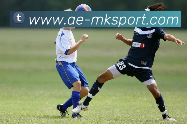 MK体育服务体系