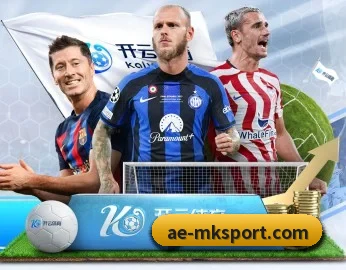 MK体育 APP - MKsports
