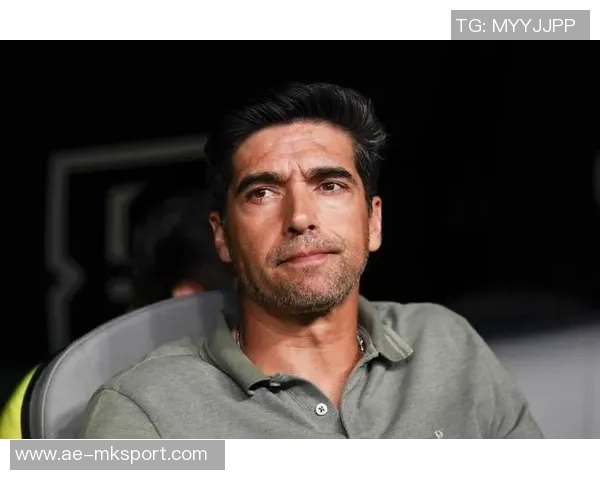 帕尔梅拉斯正式向阿尔马达报价交易进展顺利